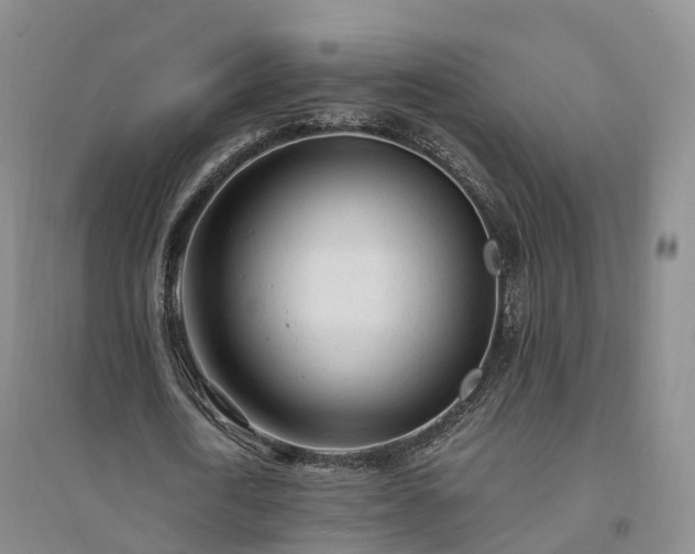 X0000094320722200711091341