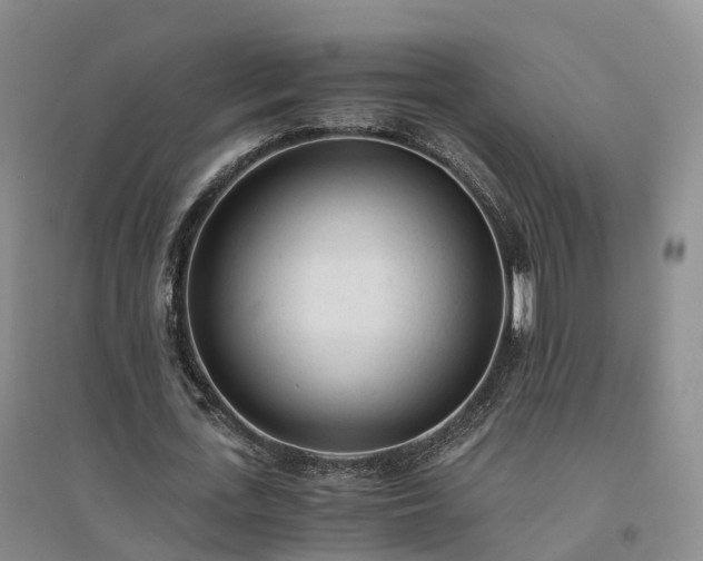 X0000094320723200711091341