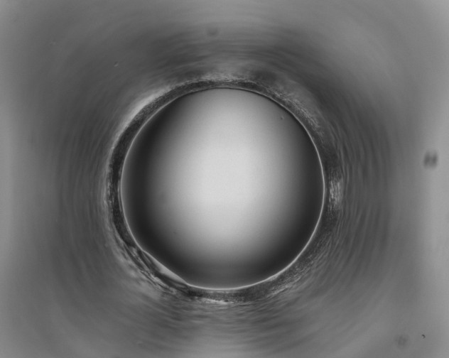 X0000094320724200711091341