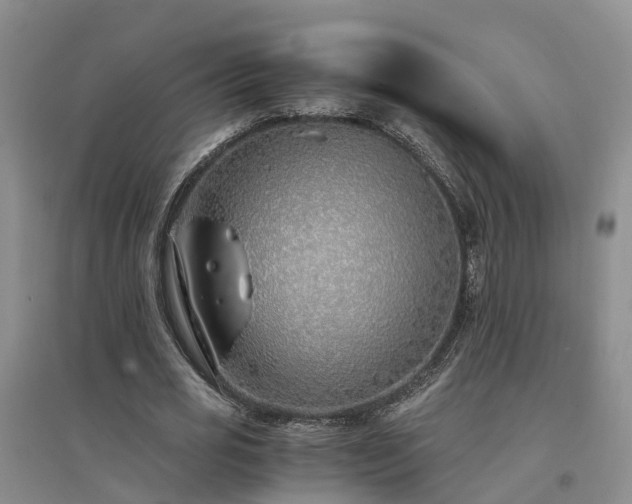 X0000094320725200711091341