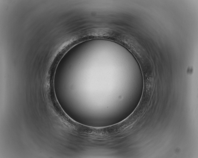 X0000094320727200711091341