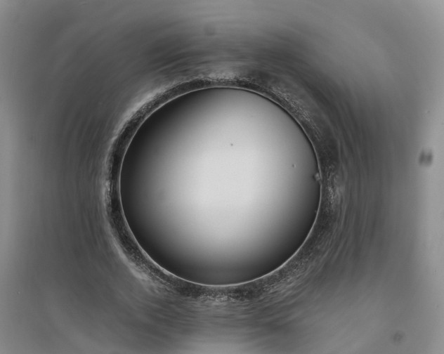 X0000094320728200711091341