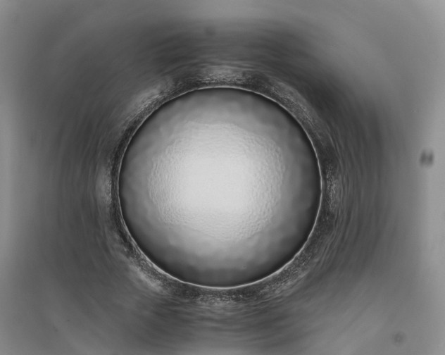 X0000094320729200711091341