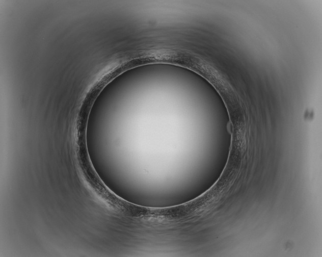 X0000094320730200711091341