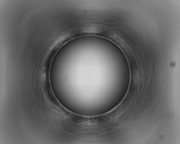 X0000094320731200711091341