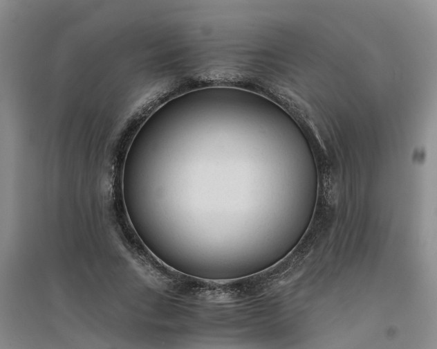 X0000094320735200711091341