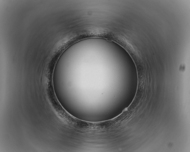 X0000094320736200711091341