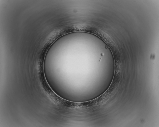 X0000094320738200711091341