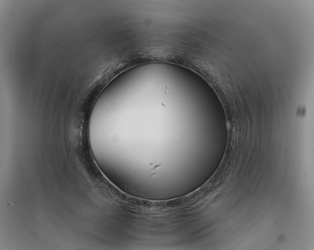 X0000094320739200711091341