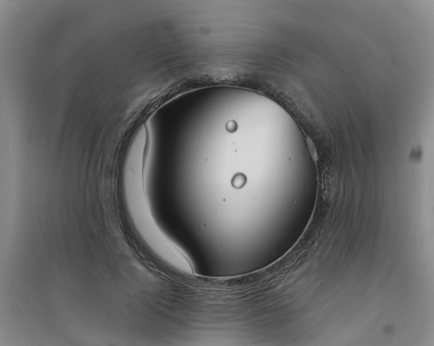 X0000094320740200711091341