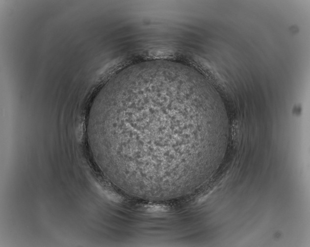 X0000094320741200711091341
