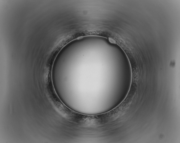 X0000094320742200711091341