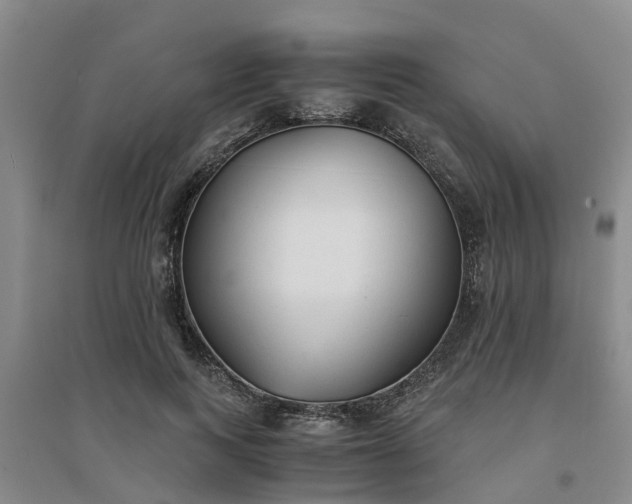 X0000094320743200711091341