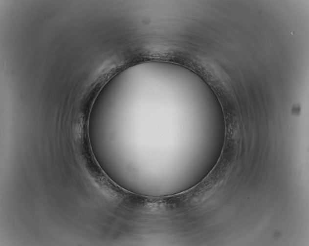X0000094320744200711091341