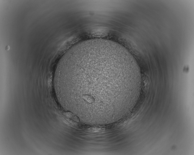 X0000094320745200711091341