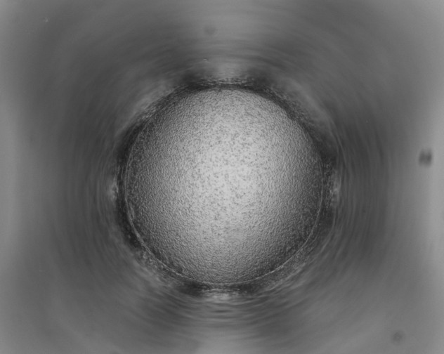 X0000094320746200711091341