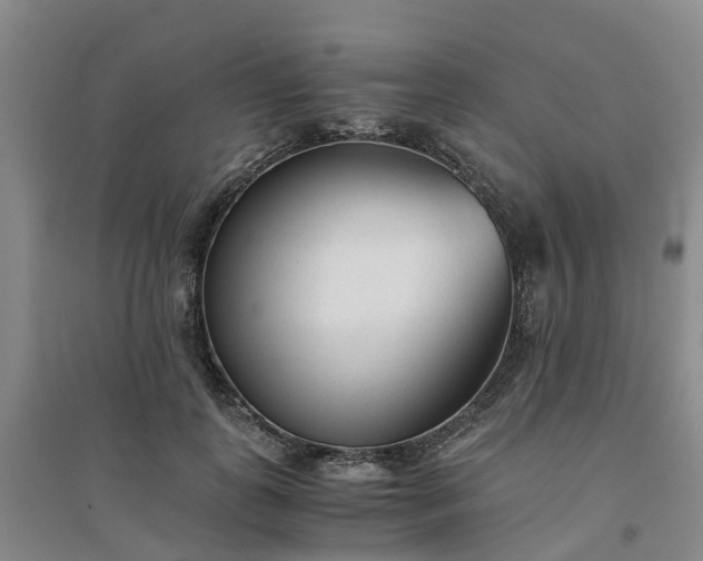 X0000094320747200711091341