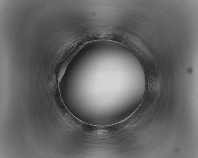 X0000094320748200711091341
