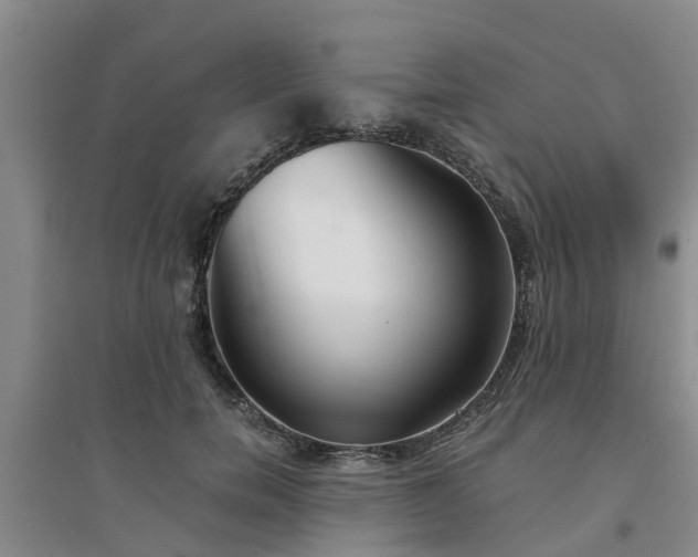 X0000094320750200711091341