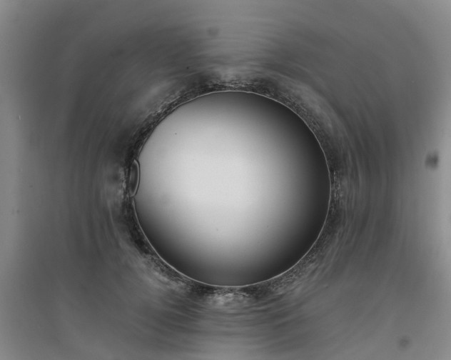 X0000094320752200711091341