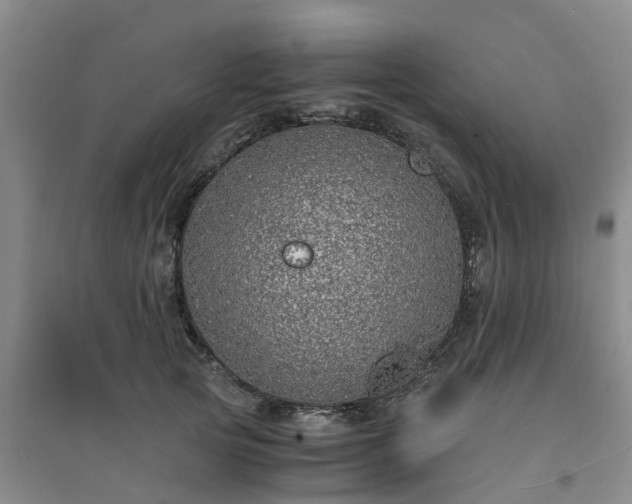 X0000094320753200711091341