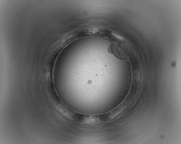 X0000094320754200711091341