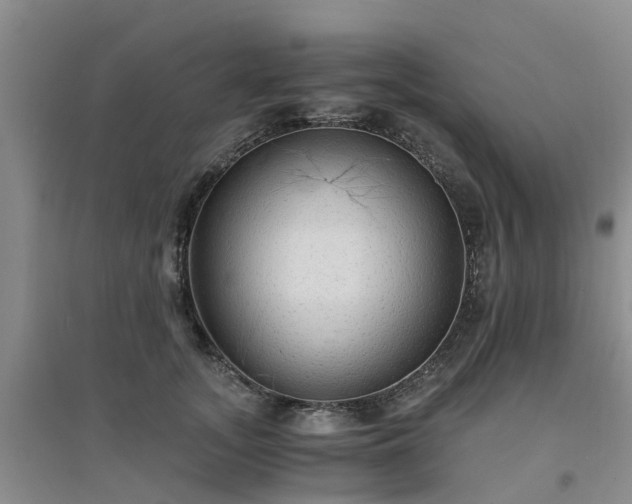 X0000094320755200711091341