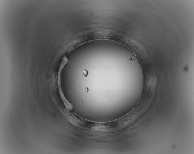 X0000094320759200711091341