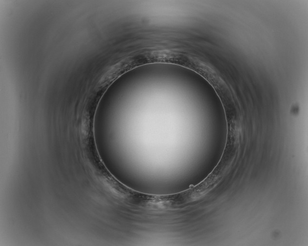 X0000094320760200711091341