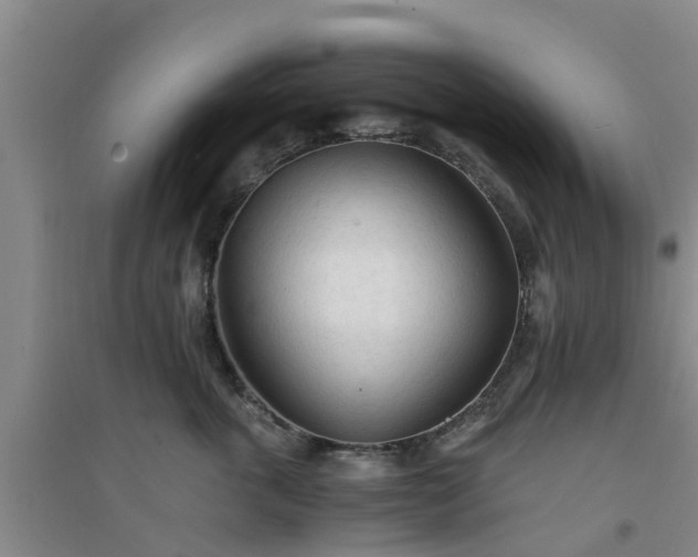 X0000094320763200711091341