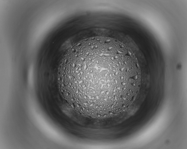 X0000094320765200711091341