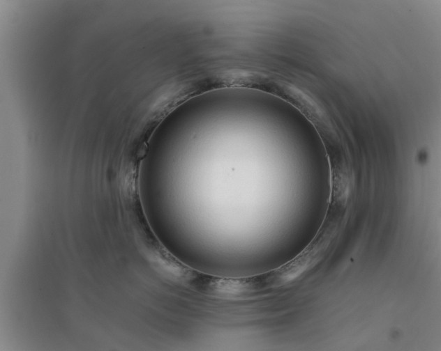 X0000094320766200711091341