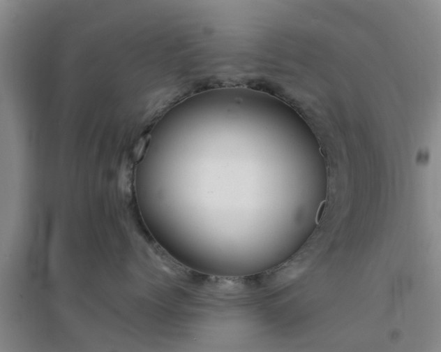 X0000094320768200711091341
