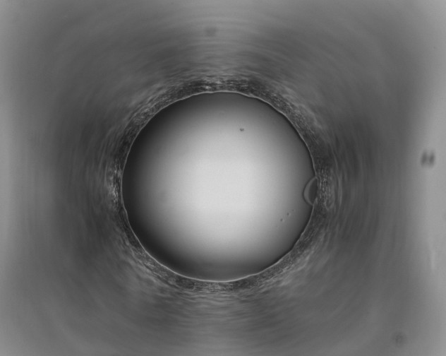 X0000094320770200711091341
