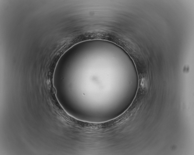 X0000094320771200711091341