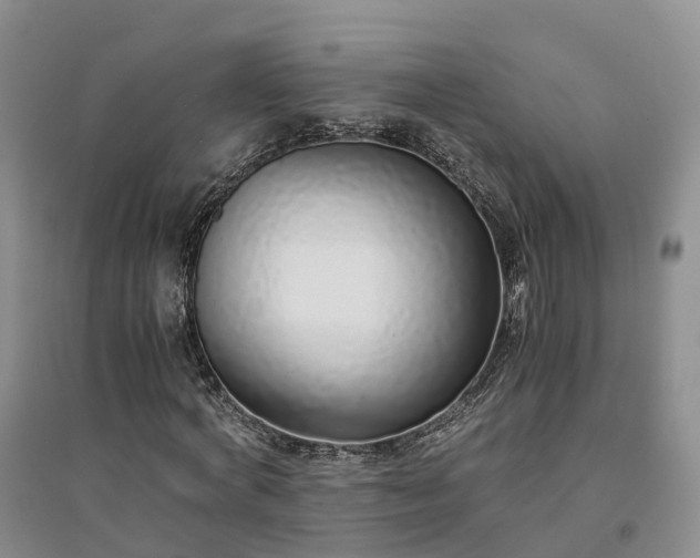 X0000094320772200711091341