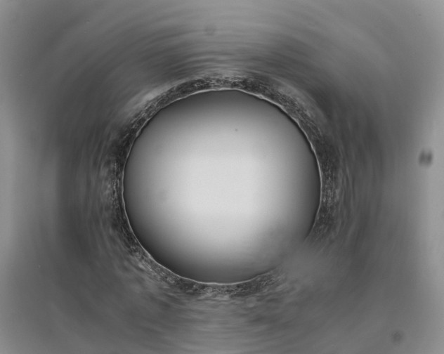 X0000094320773200711091341