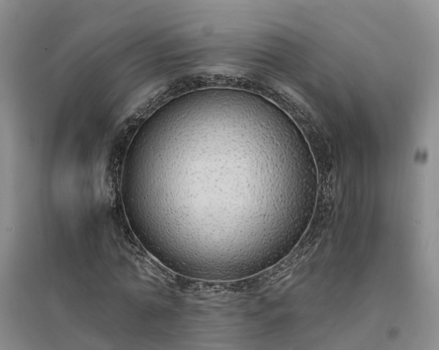 X0000094320774200711091341