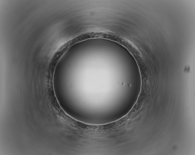 X0000094320775200711091341