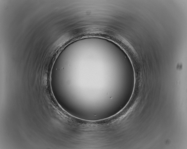 X0000094320777200711091341