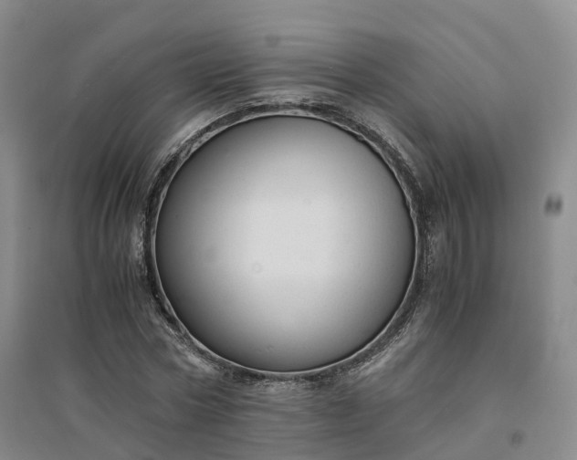 X0000094320778200711091341