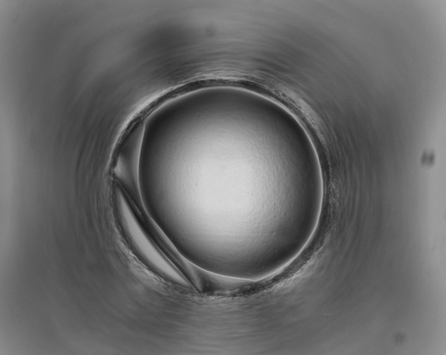 X0000094320779200711091341
