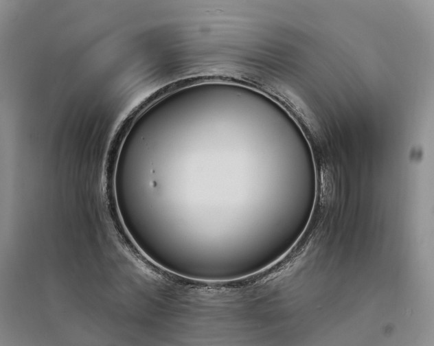 X0000094320780200711091341