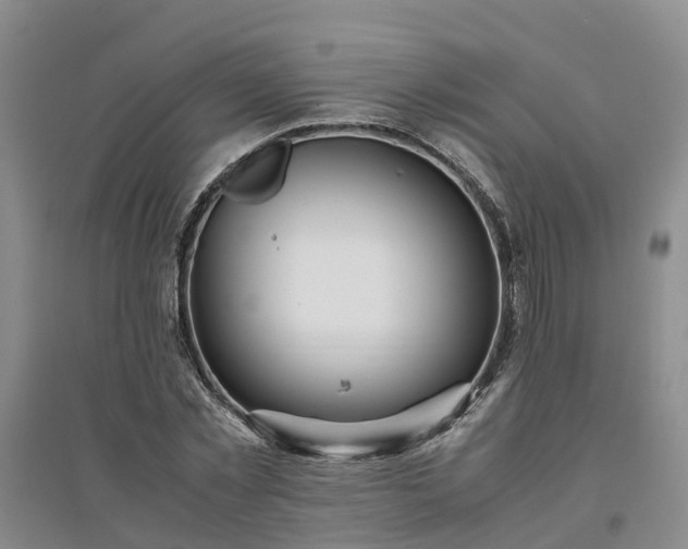 X0000094320781200711091341