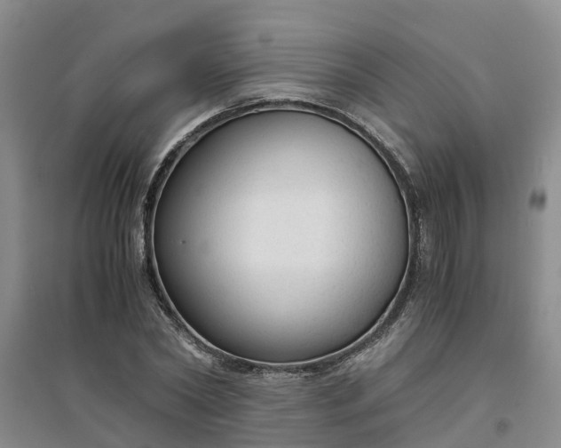 X0000094320782200711091341
