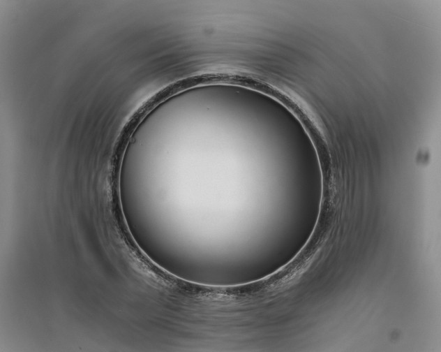 X0000094320783200711091340