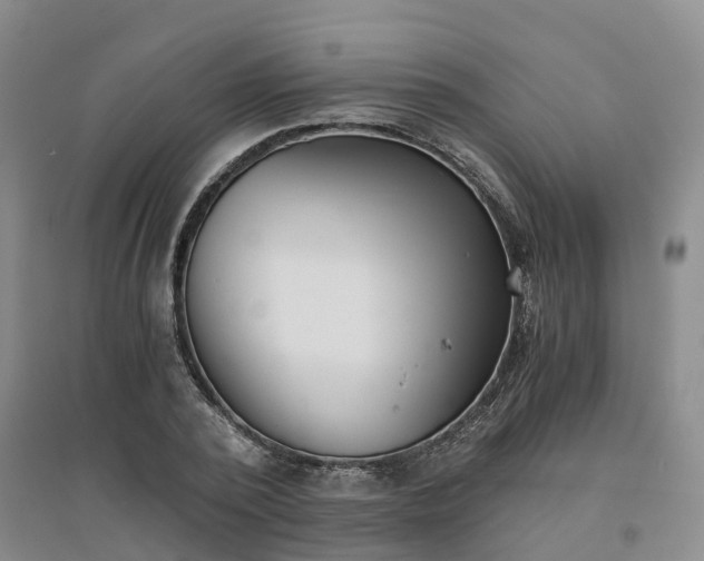 X0000094320784200711091340