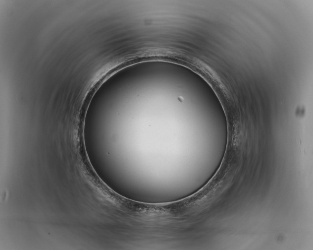 X0000094320786200711091340