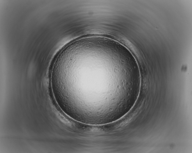 X0000094320787200711091340