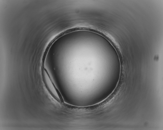 X0000094320791200711091340